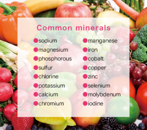 ویتامین‌ها و مواد معدنی
